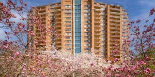 The Magnolia Gallery 34