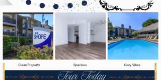 The Shore Gallery 24