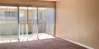 1 Bedroom 1 Bath Condo in Hayward -- Coming Soon!!! Gallery 3