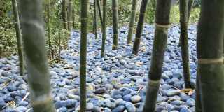 The Aspens Riverside Gallery 19