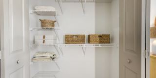 Bell Lake Forest Gallery 5