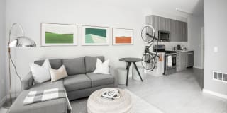 FortyOne 11 Apartments Gallery 8