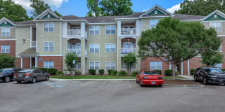 Cooper's Ridge Gallery 26