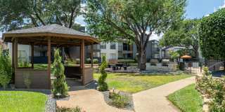 District 2308 Gallery 16