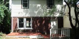 Treetop views in North Avondale Gallery 5