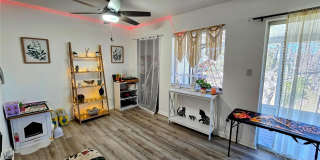 633 SILVER PASS Gallery 4