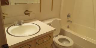3/2 w/Large Back Yard in Village West! Gallery 14