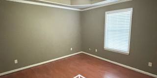 2808 Browning Cv Gallery 15