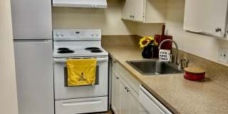 Braemont Terrace Gallery 1