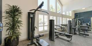Lake Pointe Apartments Gallery 43