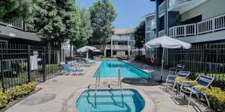 Remodeled 3 Bed Penthouse Condo Gallery 21