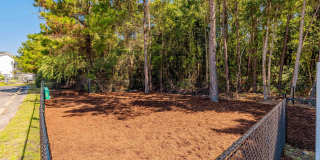 Birch Pond Gallery 16