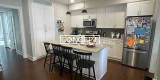 386 Harvard St. Gallery 1