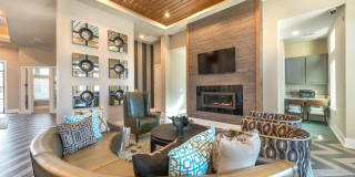 Olympus Waterford Gallery 2