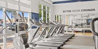 Axis Camelback Gallery 21