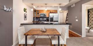 Cosmopolitan Condominiums ~ South Lake Union Gallery 8