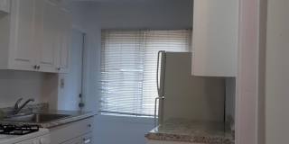1 BR Apartment Gallery 9