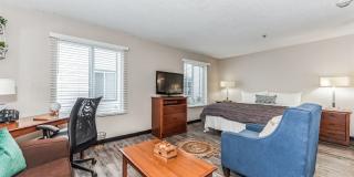 Vivo Living Charlotte Gallery 6