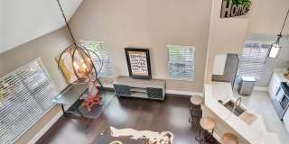 9130 LAKE CHASE ISLAND Way Gallery 20