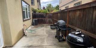 9137 Arbol del Rosal Way Gallery 8