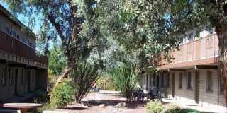 Mountain Plaza Gallery 20