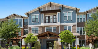 Terrawood Gallery 24