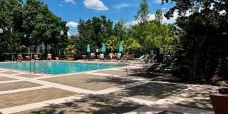 MOVE IN NOW!! Gated community Miriada! 1st floor 1X1.5 bath condo near pool area!!! Laminate wood flooring in living area and carpet in bedroom! Has washer & dryer! Gas stove & water heater! Gallery 37