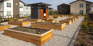 Parkside at Craig Ranch Apartment Gallery 47