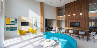 Linz of Viera Gallery 8