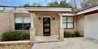29608 TERRA VIS Gallery 2