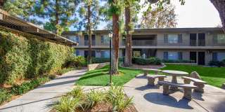 Saddleback Pines Gallery 10