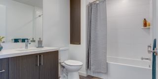 The Merian Gallery 62