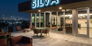 Silva Los Angeles Gallery 5