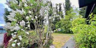 Charming  home on quiet street, great location Gallery 23
