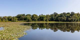 Mosaic at Metro Gallery 42