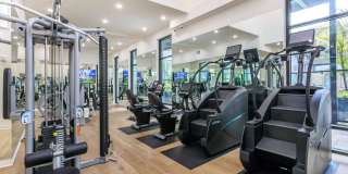 The Willows Gallery 19