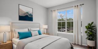 Carolina Pines Gallery 3