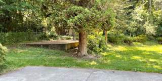 Charming 3 Bed 1.75 Bath Rambler in Eastgate Gallery 10