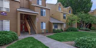 Brightwaters at Redhawk Gallery 6