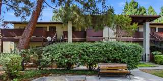 Sunnyvale Condo for Rent! Gallery 1