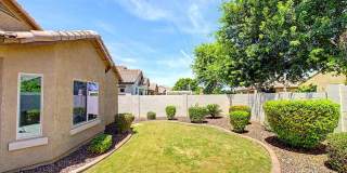 10772 West Yearling Road Gallery 19