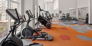 Deseo Grande Gallery 7