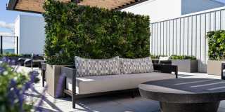 Madison West Elm Gallery 19