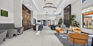 Elysium Reno Gallery 4