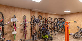 Carrington Gallery 31