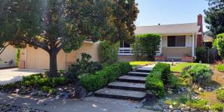 Large Landscaped Backyard! Fruit Trees- Fresh Interior Paint- Fresh Exterior paint- New Roof Coming Soon Gallery 1