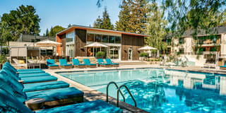 Sharon Green Gallery 5