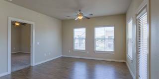 Century Palm Bluff Gallery 25