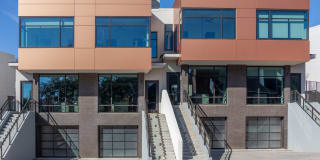 The Village Drey Gallery 41