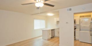 Highland 24 Gallery 3